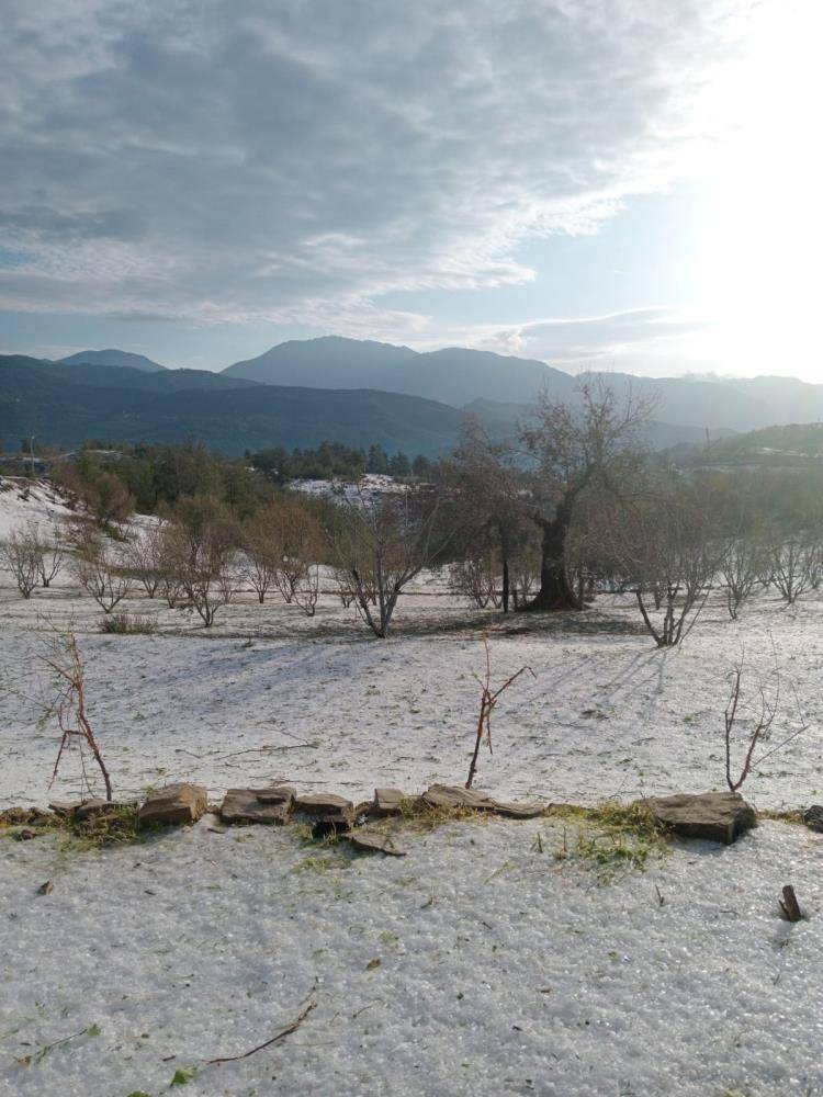Konya yolundaki çiftçileri don ve selden sonra dolu vurdu 10